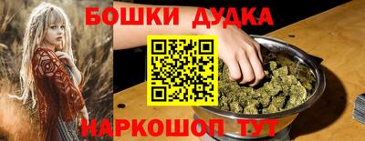 мдпв Михайловск